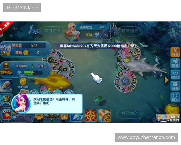 金鲨银鲨飞禽走兽游戏安全提现技巧，保障玩家资金安全的实用经验分享